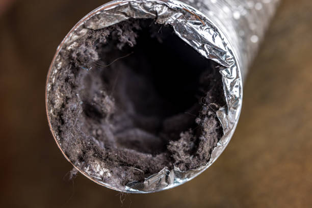 Best Professional Duct Cleaning Services  in Grand Canyon Village, AZ